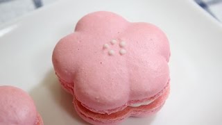 벚꽃 마카롱 / cherry blossom macaron / flower macaron / 베이킹 / baking : 하레