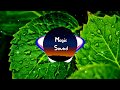 Vexento - Masked Raver (No Copyright Music )