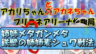 【プリコネR】姉姉メタガンメタ、鉄壁の姉姉麦シュワ戦法！【バリーナ】【プリーナ】