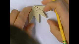 Everyday Math, 4th Grade, Math Journal (Volume 2) 8.3 "Pattern-Block Angles" page 278