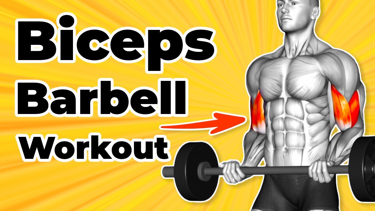 Biceps Barbell Exercises (Best 7 To Build Muscle) - YouTube