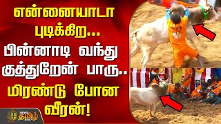 என்னையாடா புடிக்கிற... பின்னாடி வந்து குத்துறேன் பாரு... மிரண்டு போன வீரன்| Alanganallur Jallikattu