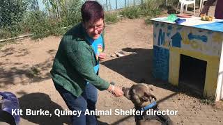 Quincy Animal Shelter celebrates 20 years