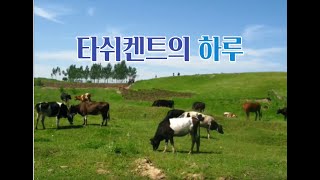 모임당 - 타쉬켄트의 하루 / 음악 : 어느 산골소년의 사랑이야기(예민)