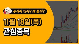 [웃지] 11월 18일 관심주 - 이노뎁,넷게임즈,알로이스,네오위즈,맥스트,와이제이엠게임즈,소프트캠프,네오리진,고려시멘트,네오이뮨텍,FSN,삼영에스앤씨