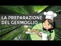 Il germoglio di bambù in cucina: come si prepara