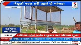 JUNAGADH: સકંજામાં વનવિભાગ || Sandesh News TV | Cyclone Tauktae