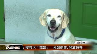 搜救犬「鐵雄」  光榮退休.開放領養 │T-NEWS聯播網