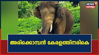 അരിക്കൊമ്പൻ കേരളത്തിന് 14km അരികെ ; ആശങ്കപ്പെടേണ്ടതില്ലെന്ന് Tamil Nadu വനം വകുപ്പ് | Arikomban