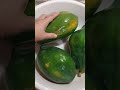 ATSARANG PAPAYA PANG TANGGAL UMAY