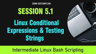 Master Linux Bash Scripting: Session 5.1 - Conditional Expressions & Testing Strings