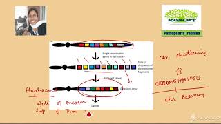 Pathopearls_Radhika 5 min discussion; Chromothripsis