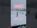 大雪の中、野良犬がいました トルコ shorts 野良犬 雪