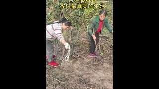 比起浪漫我更喜欢烟火气的平淡与真实！#记录真实生活 @抖音小助手