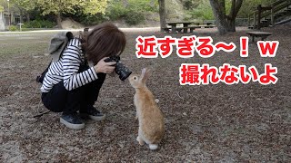 うさぎ島〜広角レンズで接写or望遠ズームレンズどっち？