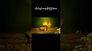 ကိုယ်ချင်းစာတတ်ပါစေ #dhamma #တရားတော်များ #voiceeffects #tiktok