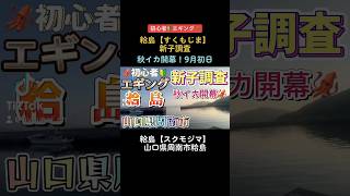 👆本編はコチラ👆山口県【初心者🔰エギング🦑】秋イカシーズン開幕！新子調査！粭島（すくもじま）/山口県周南市粭島/山口県周南市大島