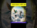 উড়তে না জানলে মজা করতে গেলি কেন। islami bd youtubeshorts shortsfeed islamic shorts