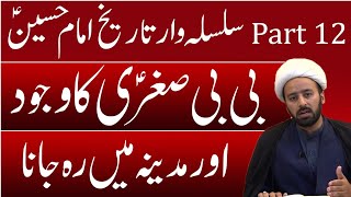 بی بی فاطمہ صغری س ع | bibi Sughra Fatima ki history | mola HUSSAIN ki betian | history part 12