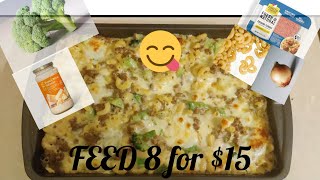 FEEDING 8 FOR $15 |EMERGENCY GROCERY |BUDGET MEALS | FAST MEALS