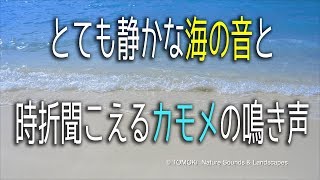 【睡眠用BGM】とても静かな波の音と時折聞こえるカモメの鳴き声