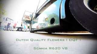 Dutch Quality Flowers - Scania R620 at Truckshow Numansdorp