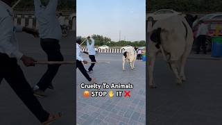 Cruelty To Animals #shorts #shortsvideo #shortsfeed #shortsviral #shortsyoutube #shortsbeta #cruela