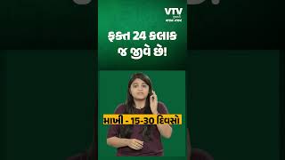 હે! આ જીવ ફક્ત 24 કલાક જ જીવે છે! | VTV AJAB GAJAB