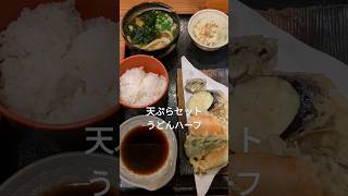 みやき町の人気うどん店🥢 はなわも来てYouTube投稿されてるよ🗒 揚げ物全般美味しいです