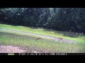 moultrie m 80 trail camera va outdoors.com