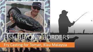 Fry Casting For Toman Giant Snakehead, Klau Dam, Malaysia