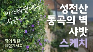 성전산, 통곡의 벽, 샤밧 스케치 _ 이스라엘에서 지금