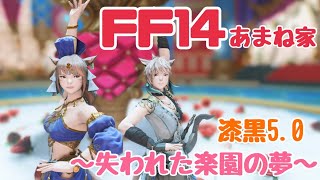 【FF14】雑談しながら漆黒編を冒険⑧【あまね家ほのぼのチャンネル】