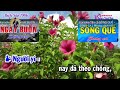 tân cổ lẤy chỒng xỨ lẠ mời kÉp hát với bích vân