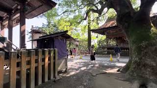 金毘羅神社だよ