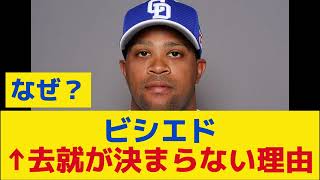 【急募】ビシエド「日本人枠です、守備上手いです、年俸安くてもOKです」←去就が決まらない理由