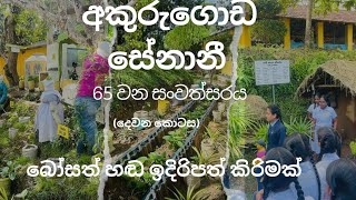 අකුරුගොඩ සේනානී විද්‍යාලයේ 65 වන සංවත්සරය| බෝසත් හඬ| 03 වන කොටස| 2024-11-01