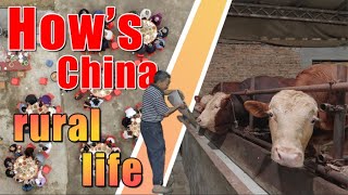 What Nobody Tells You About Rural Life in China