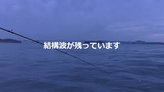 2024年10月26日香川県坂出沖タイラバ