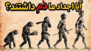 تحلیل نظریه داروین | رازهایی که درباره تکامل بدن انسان نمی‌دانستید!