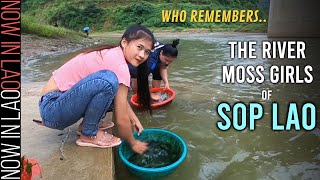 WILD LAOS - Who Remembers the River Moss Girls of SOP LAO Laos