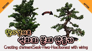 철사걸이로 석화회 소품분재 만들기 Creating Chirimen(Seok-Hwa-Hoe)bonsai with wiring