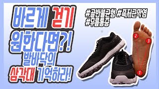 올바른 보행과 몸의 밸런스를 위해 스포엑스에서 발견한 그것은??