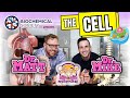 The Cell | Dr Matt & Dr Mike's Medical Podcast