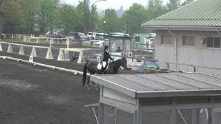 第5８回東都学生馬術大会　オープン馬場馬術競技　1年　工藤七海＆桜禅