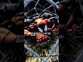 Superior Spider-Man Is NOT Who You Think It Is #marvel #marvelcomics #shorts