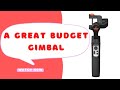 Hohem ISteady Pro 4 Gimbal - A Great Budget Gimbal for the GoPro or Osmo Action