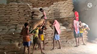 FCI godown ki loding video