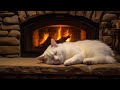 Eternal Sleep Bliss - Home MeowMeow Cat and Fireplace Symphony for Ultimate Relaxation🔥