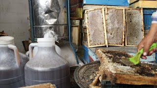 Harvesting natural Iranian honey 🇮🇷|برداشت عسل طبیعی (صاف کردن عسل از موم) 🍯🐝